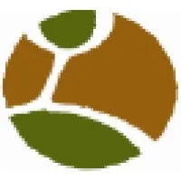 Element Design Group