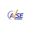AVSE Global