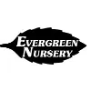 Evergreen Nursery Evergreen Nursery