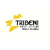 Tribeni Group Tribeni Group