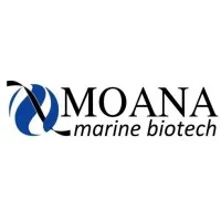 Moana Technologies Llc