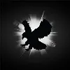 Nighthawk Flight Systems, Inc. Nighthawk Flight Systems, Inc.