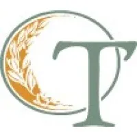 OliveTree Accounting Inc.