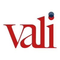 Vali Consultores 