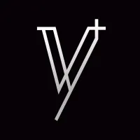 Vysion Technology