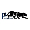 Pantherun Technologies