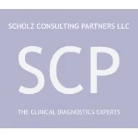 Scholz Consulting Partners LLC