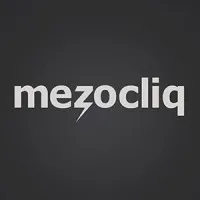 Mezocliq LLC