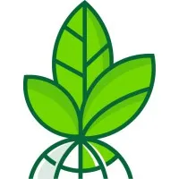 Global Decarbonization Solutions