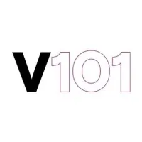 VISUAL 101
