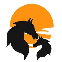 Adhwaitha Web Consultancy Services Adhwaitha Web Consultancy Services