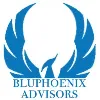 BluPhoenix Advisors BluPhoenix Advisors