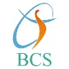 Baranwal Consultancy and Services