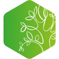 The Oak Tree Group The Oak Tree Group