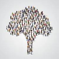 Olive Tree International Search