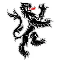 Tyrone Electrical Services Pty Ltd