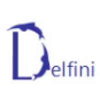 Delfini Group