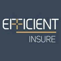 Efficient Insure