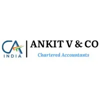 Ankit V & Co