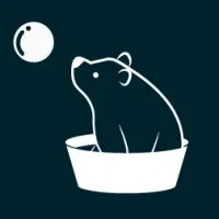 Washbear Studio