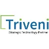 Triveni IT Triveni IT