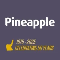 Pineapple Furniture