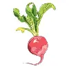 Nutrition and Wellness Nutrition and Wellness