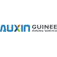 AUXIN MINING SERVICE GUINEE ( AMSG ) 