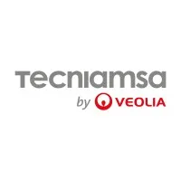 TECNIAMSA email format
