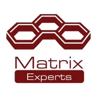 Matrix Experts Matrix Experts