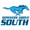 Downers Grove South High School Downers Grove South High School