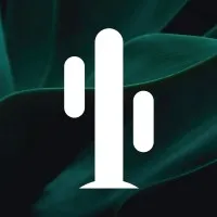 Cactus Ethiopia email address