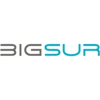 BigSur Partners