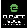 Elevate Edge Semicon Consulting Elevate Edge Semicon Consulting