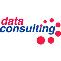 Data Consulting