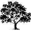 7Alder 7Alder