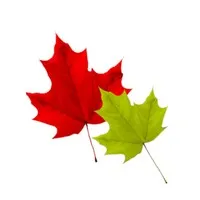 Hulse, Playfair & McGarry Funeral Homes