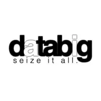 databig.ai