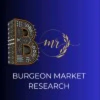 Burgeon market research