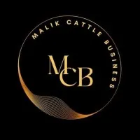 Malik Cattle Business