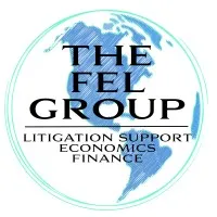 The FEL Group