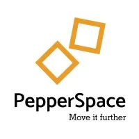 Pepperspace Consulting Services