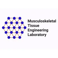 Musculoskeletal Tissue Engineering Lab @ SLU
