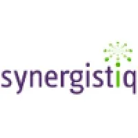 Synergistiq