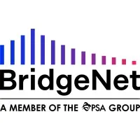 BridgeNet Solutions