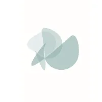 NebulEASE, Inc.