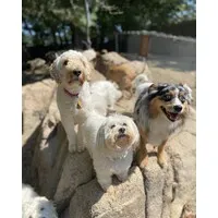 Skipton Pet Lodge