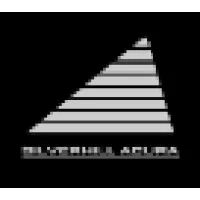 Silverhill Acura