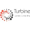 Turbine Games Consulting Turbine Games Consulting