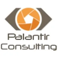 Palantir Consulting